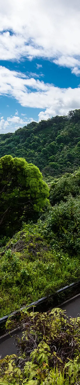 Fahre über die beliebte Road to Hana